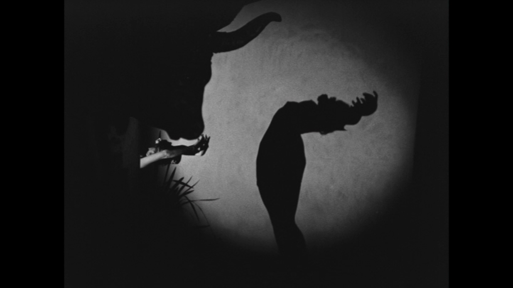 vlcsnap-2021-10-06-14h49m15s102