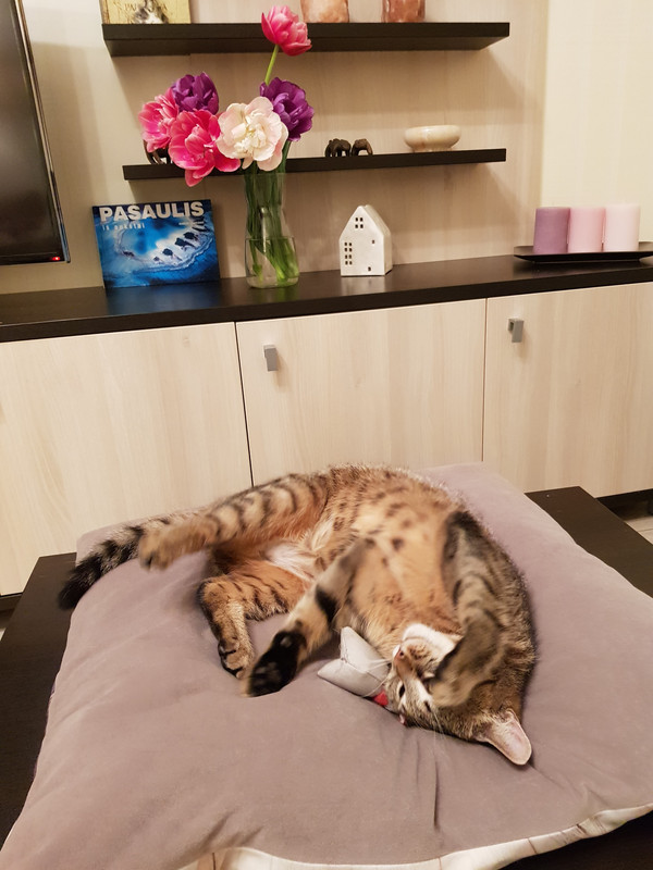 20190508-224223.jpg