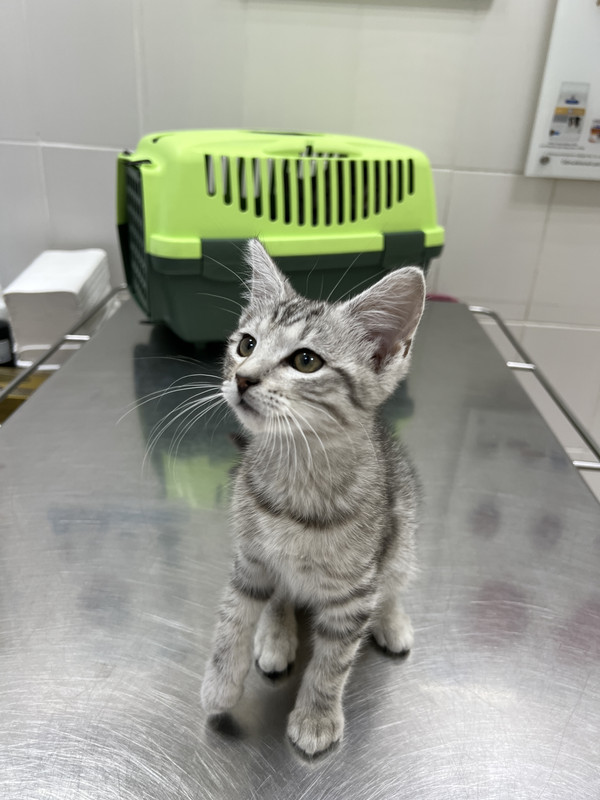 0BE46913-5975-4FD2-B517-4243012CCFA4