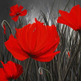 https://i.postimg.cc/QNcc0mWj/blood-redd-poppies-red-and-gray-art-lourry-legarde.jpg