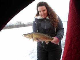 walleye