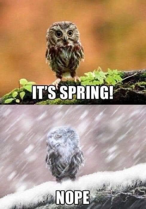 spring-nope.jpg