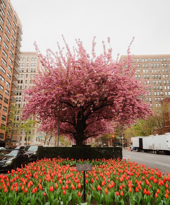 Screenshot_20240505_070815_Threads