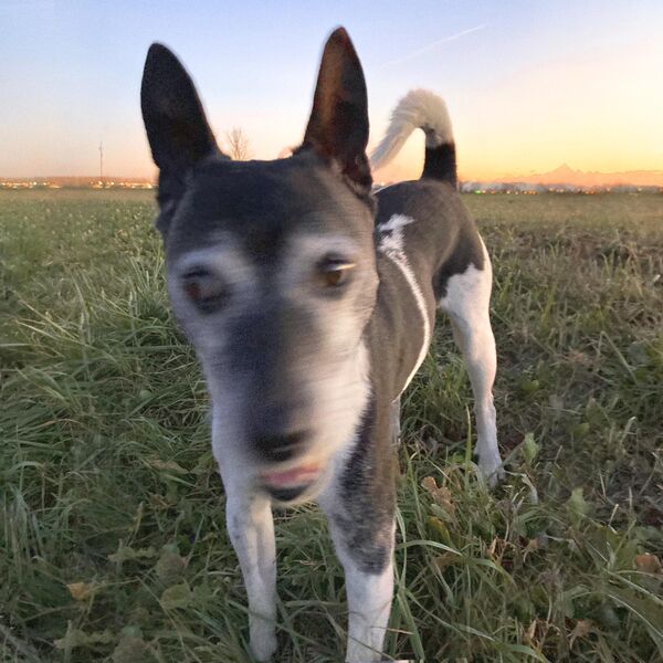 [Image: 5u40mxtfpch3.jpg]