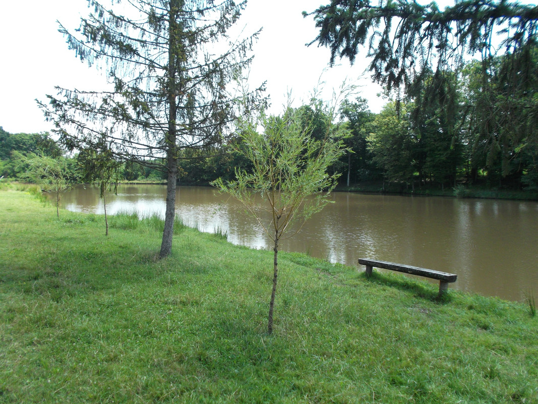 DSCF2380
