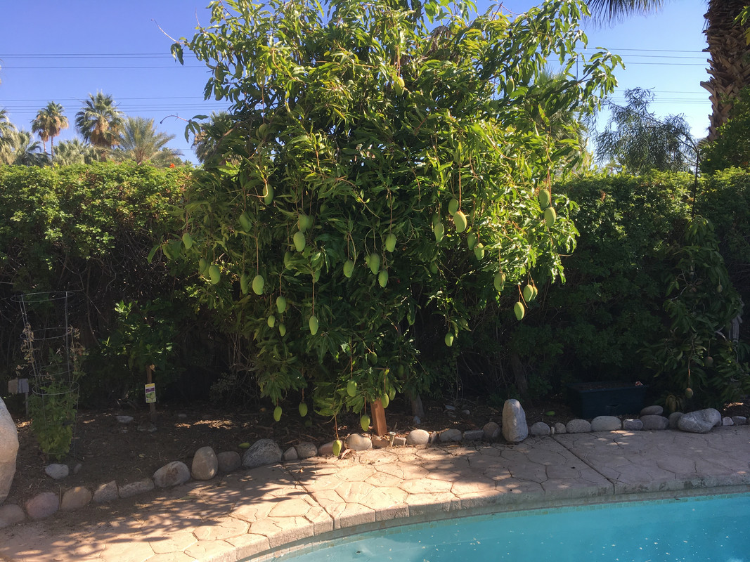 9CAC521C-7CC1-4C20-B815-ED56A336A9D6