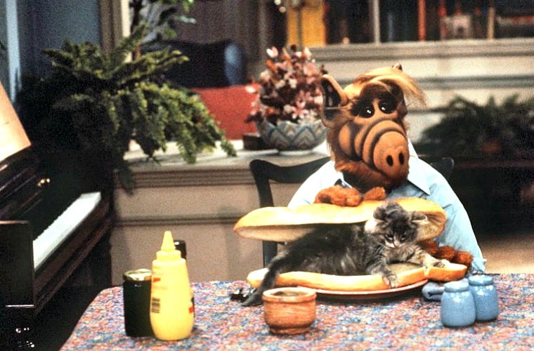 [Image: Alf-Cat-Lunch-1.jpg]