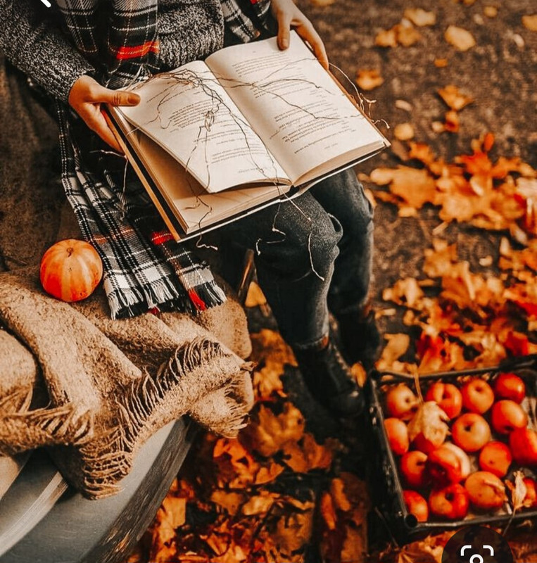 Screenshot_20231117_210650_Pinterest