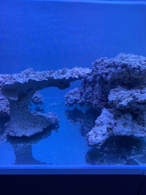 0EAA3A55-7EC6-4D97-A098-5A5537AD632F