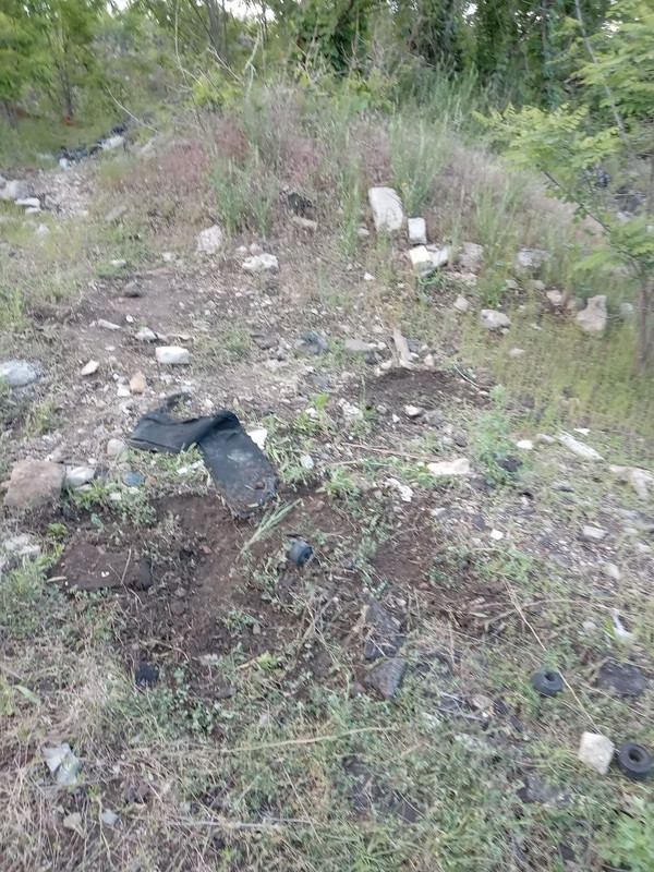 photo 2026 06 01 23 59 53 (2)