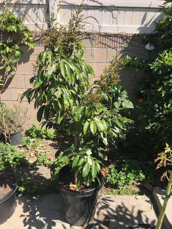 064CA1C4-6834-4DCD-BDE5-D67C6D8242EF