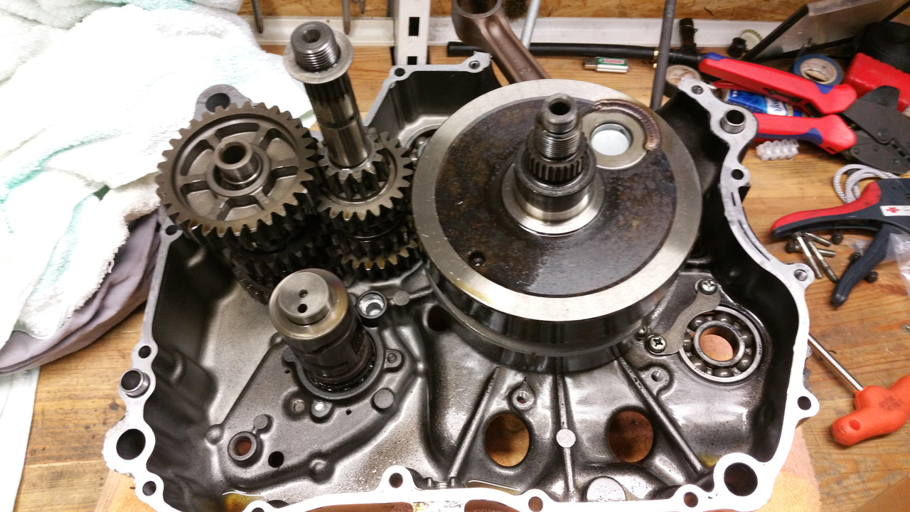 20180217_090100_1518907969706(1)