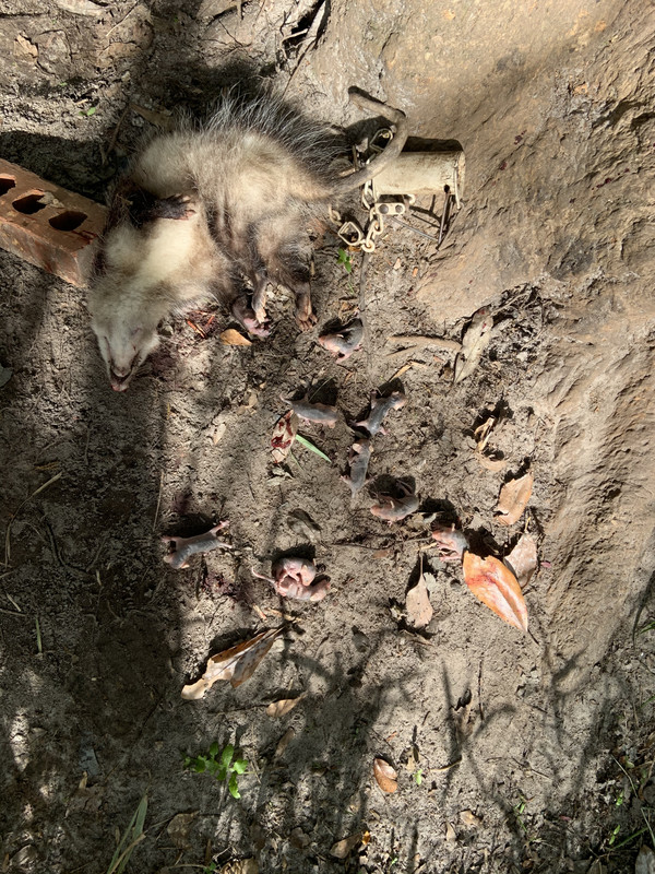 C052C30F-9965-4F57-818A-F73A5D6F6972