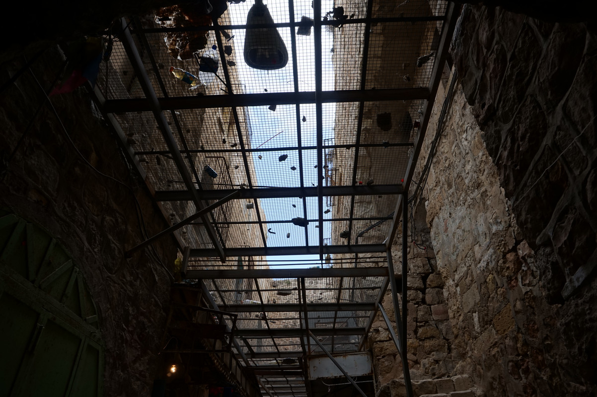 DSC02465.jpg