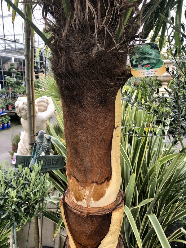 CB011D9D-5DAF-4AD0-9C3A-399F367897E6