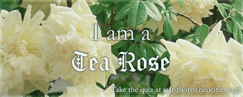 I am a Tea Rose!