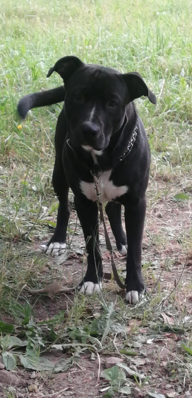 916C87A6-8F7B-495F-9C75-35CFCAC187AB