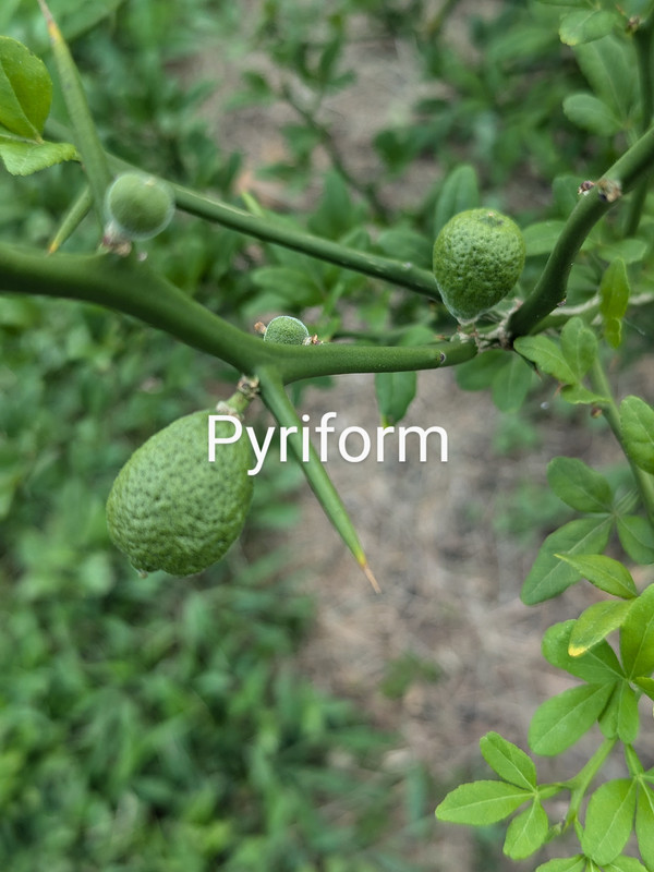 PXL_20240806_174012502~2