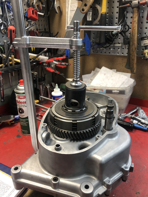 03BF7B66-388A-4D7A-90D2-66B178A29AAB