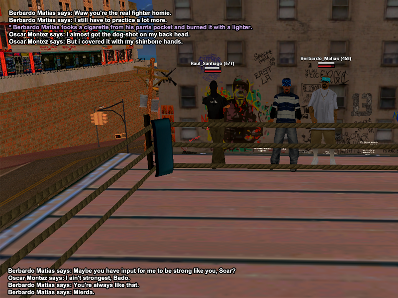 ss13.png