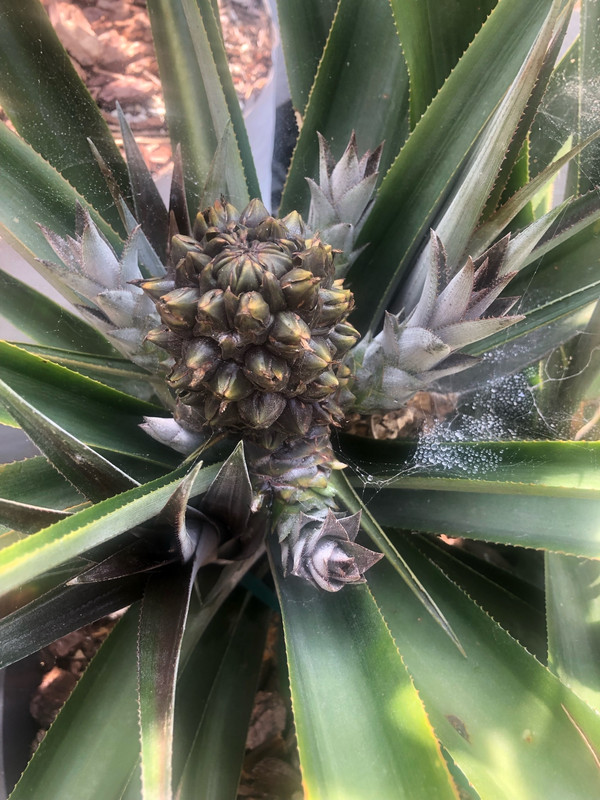 D72EC8BA-C524-4557-89FB-6257C6F84F10