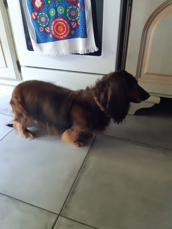 [Image: 20210618-122238.jpg]