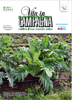 Vita in campagna N. 6 - Giugno 2018