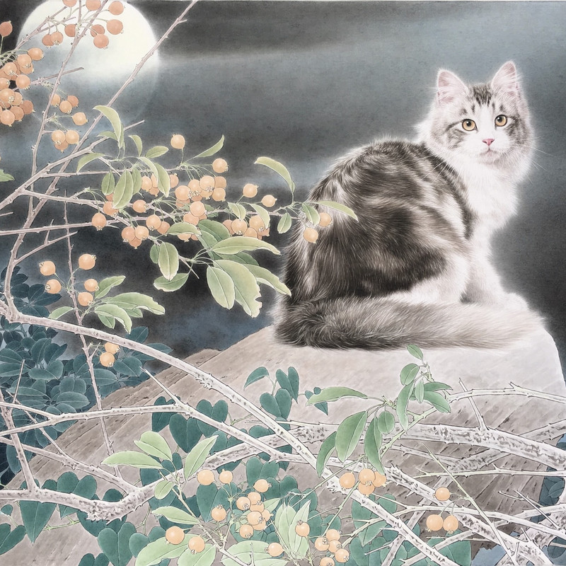 ceuzk1a6iosv0bvzfnwp