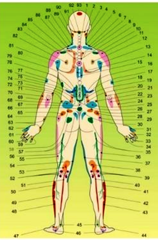 огулов-спина