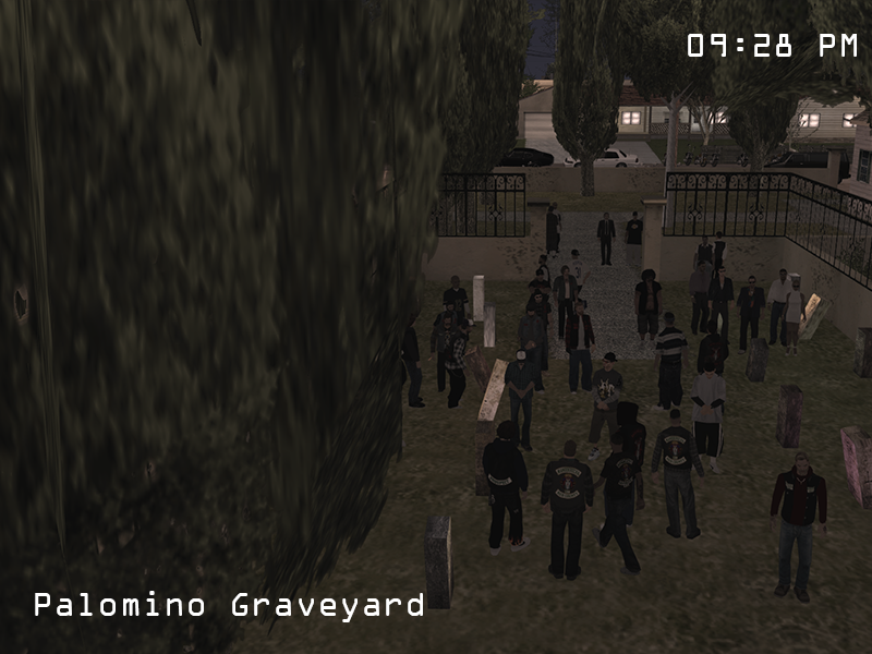 SS1.png