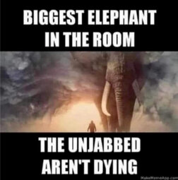 Unjabbed-aren-t-Dying