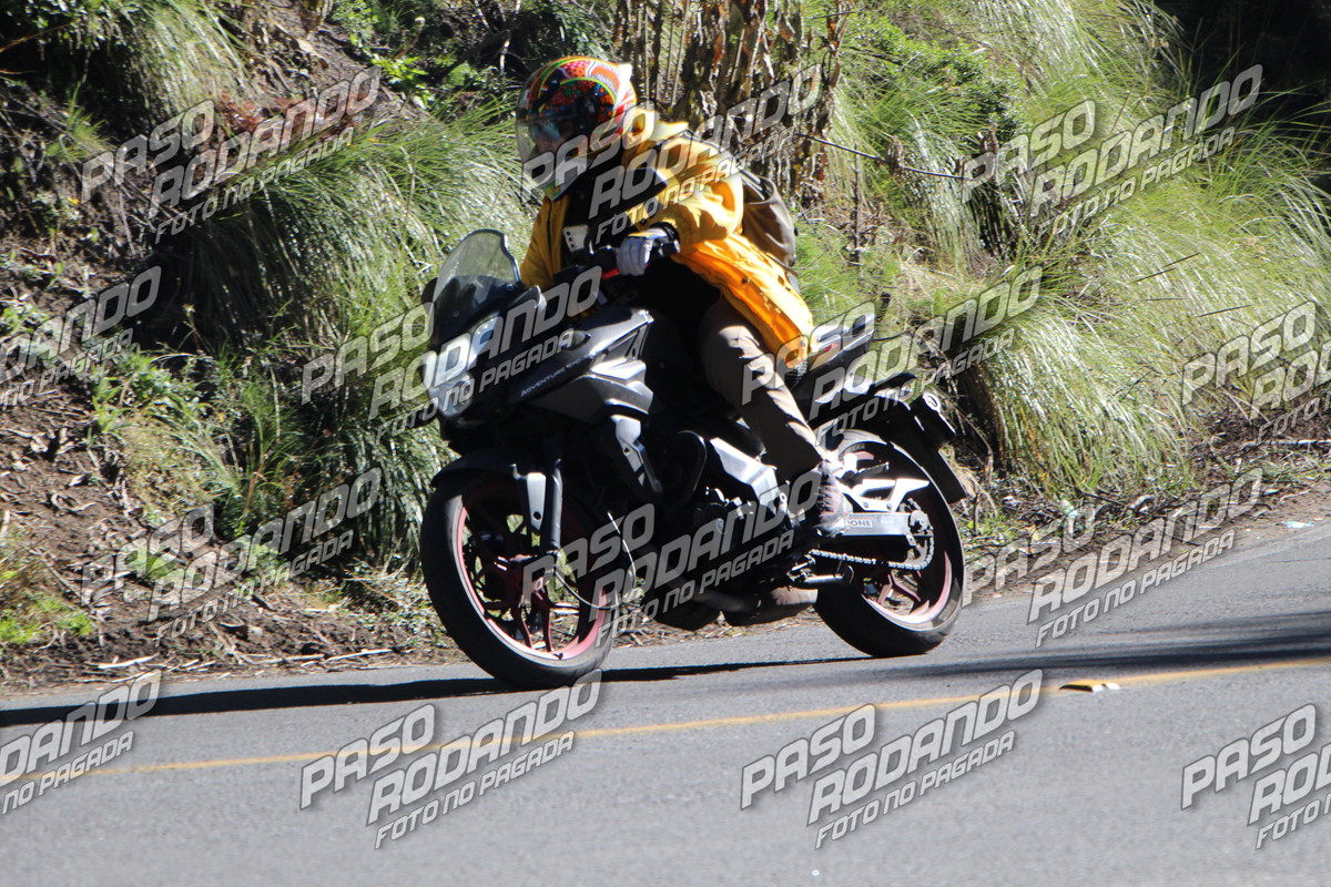 IMG 4229 wm 310892 40000000014 watermarked — Postimages