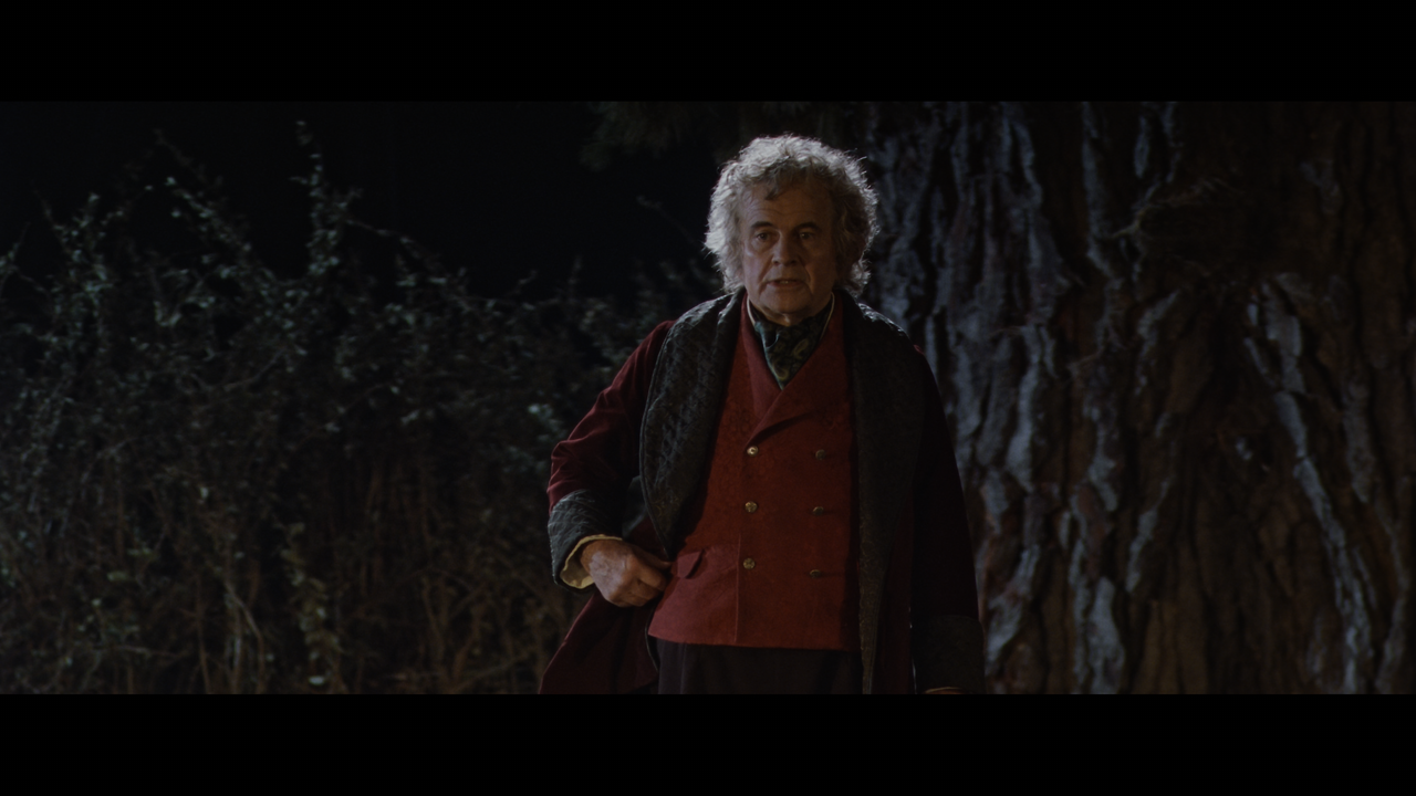 The Lord of the Rings- The Fellowship of the Ring (EXT.) PT. 1.mkv_snapshot_00.24.55_[2020.12.05_21.