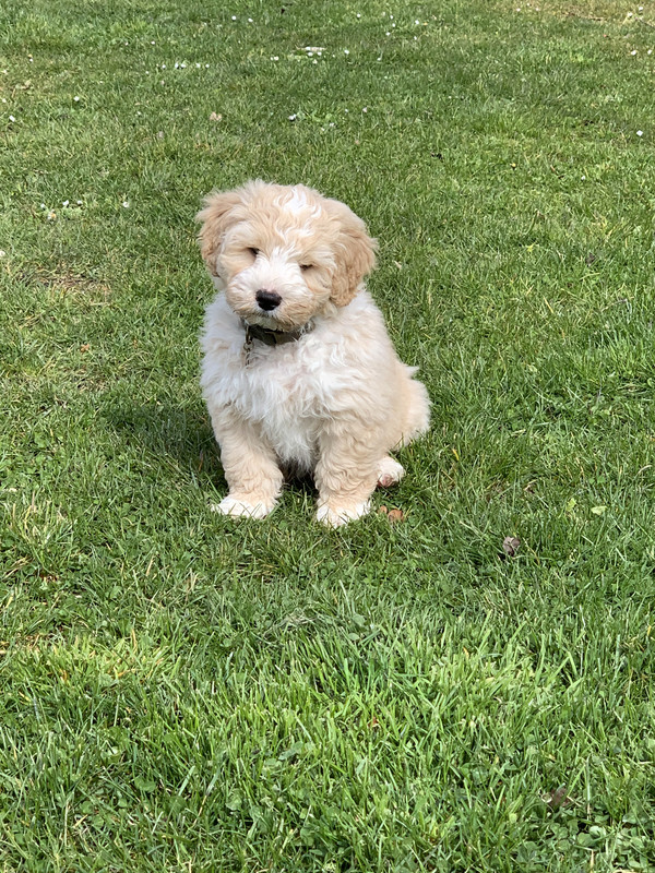 FCD6B743-BE15-45E5-8AB6-AC5182CA6F26