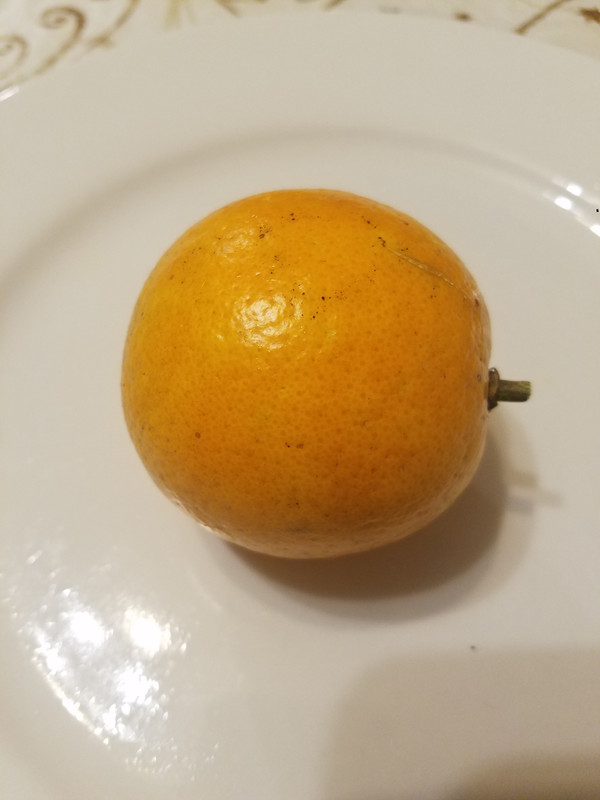 20190516_205414