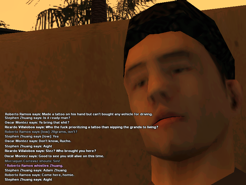 SS4.png