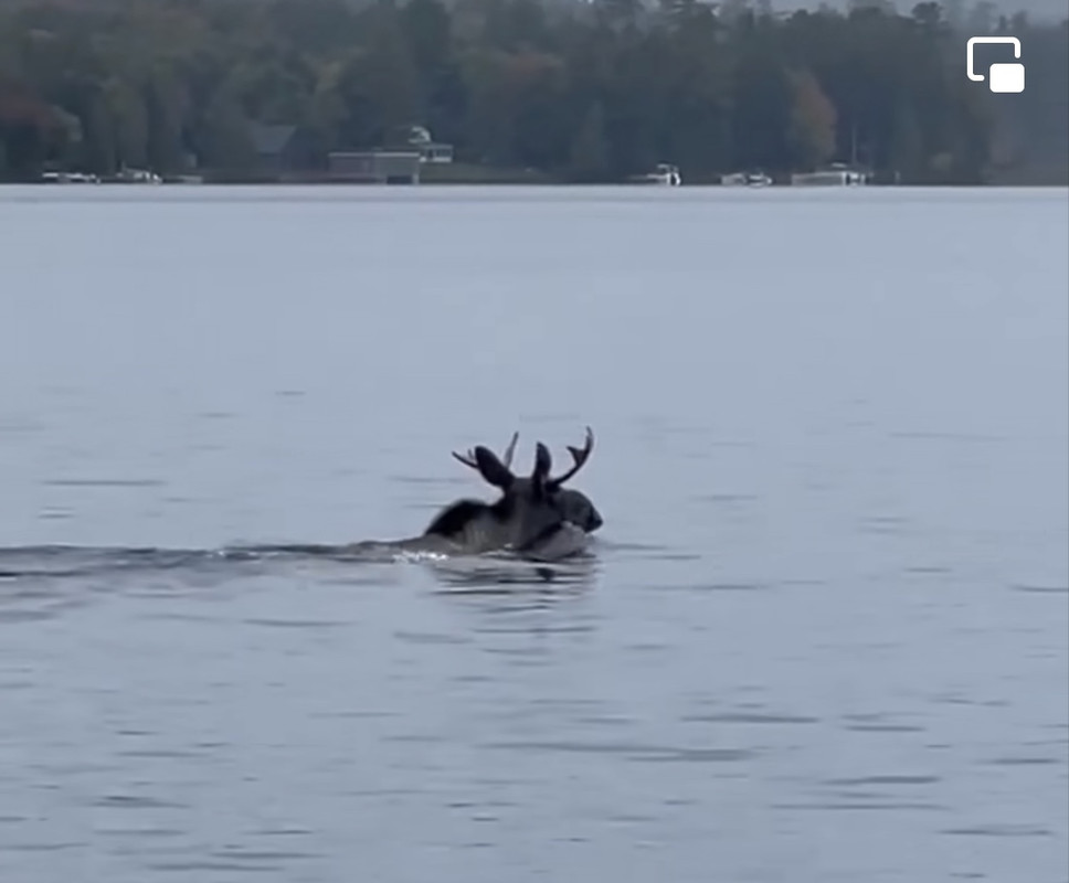 DDD65143-162A-4D56-AB55-A2259AA6D0A8