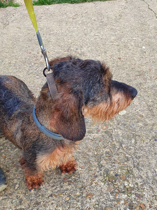 [Image: 20221028-145649.jpg]