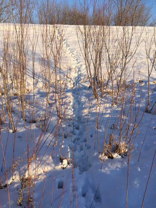 7F8C3CB3-9CEC-4998-9C98-317EC6EC6F03