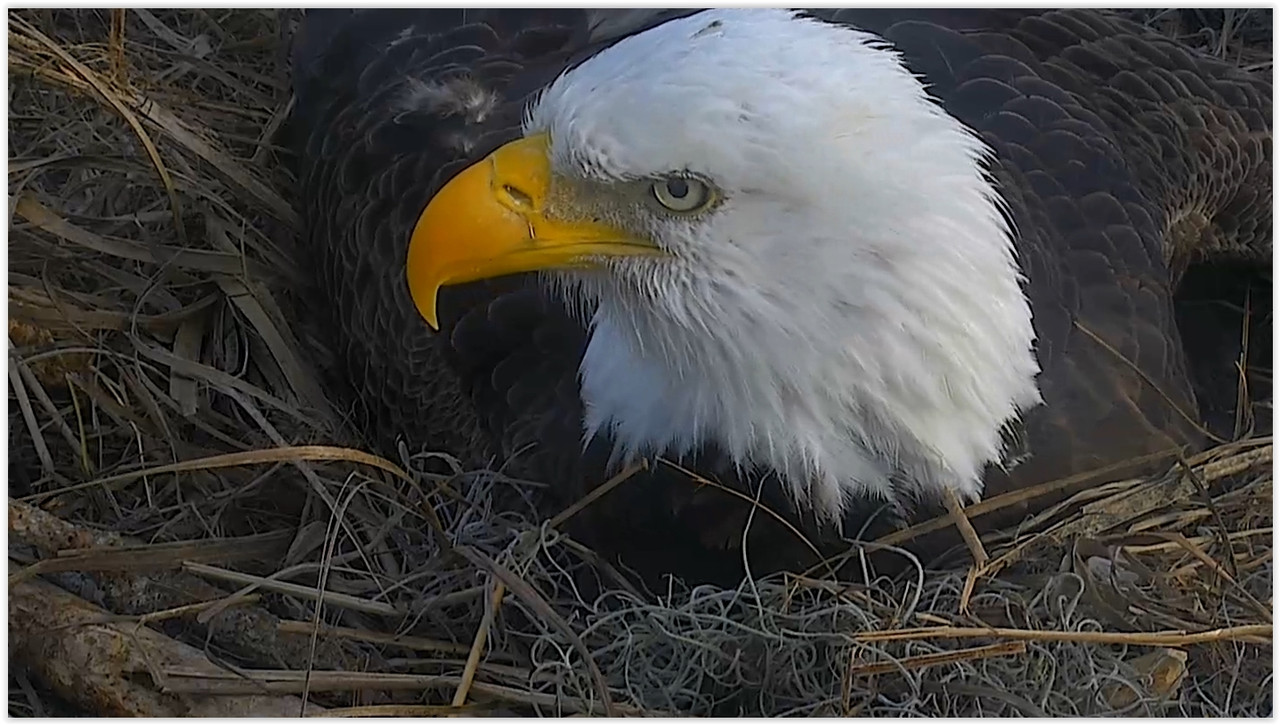 Screen Shot 01-24-20 at 02.35 PM