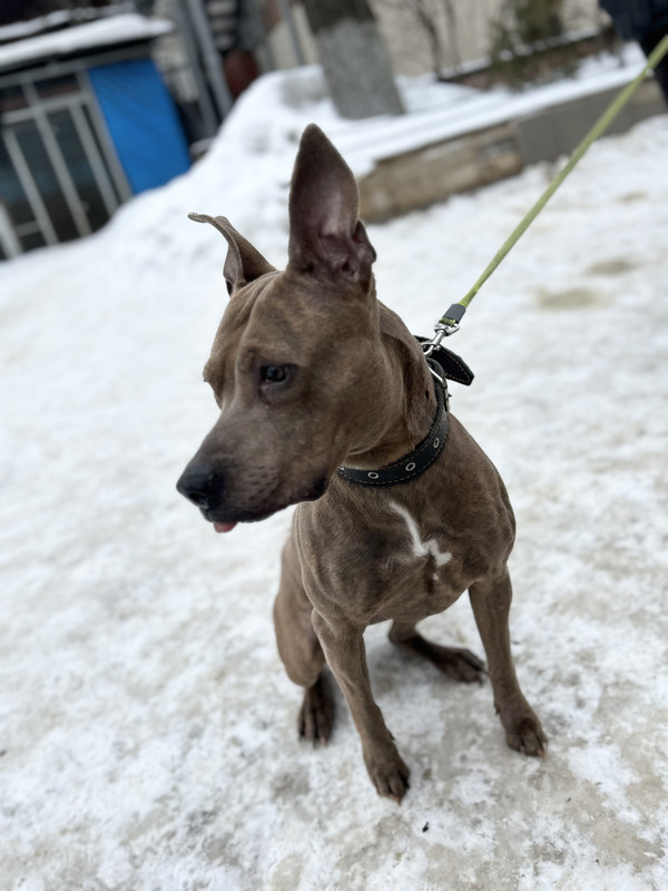 99CEE3AB-F0BC-4E3E-AB16-AE1603EE0000