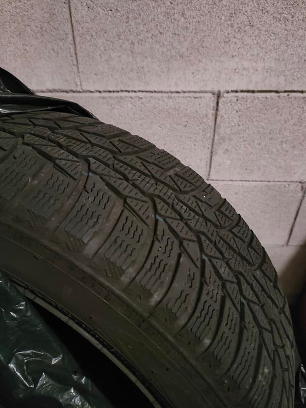 409618166_7163494740411630_2258549270914040145_n