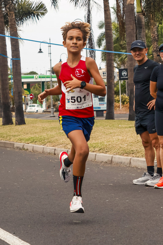 Canary-Run 121