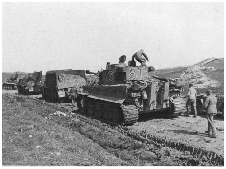 06d3a3a8dddf44999a0d87a603c5d3c6--tigers (1)