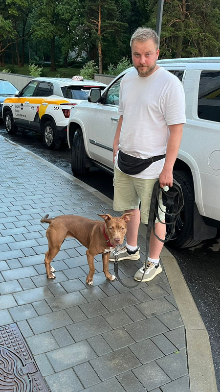 8800BB86-506D-4F50-8205-78C177A16959