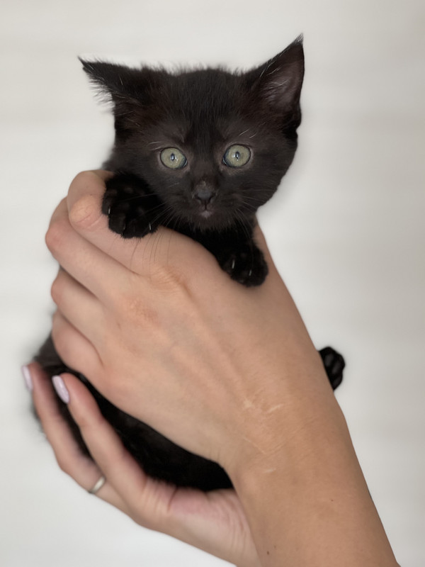 D5D1213D-FEE9-4ADE-AB2C-A24E8C768010