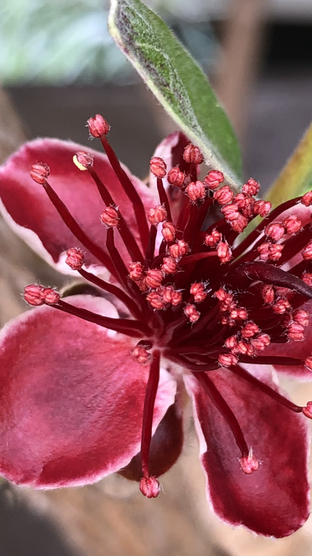 D8FA634F-A551-4180-B3BE-3F9D80075DB0