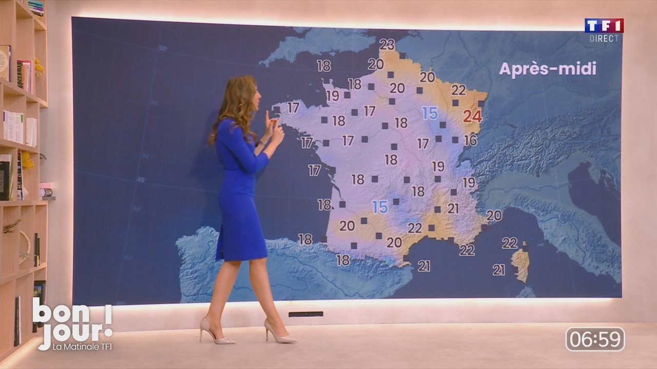 Bonjour Daniela 120525.mp4_snapshot_00.09.42.572