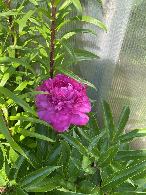 3F88EB3C-20EA-4692-A683-E78D88E4663C