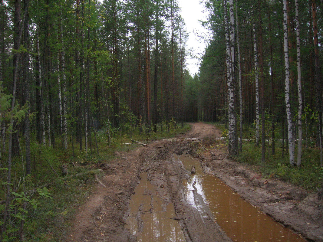 Изображение 008 1 1